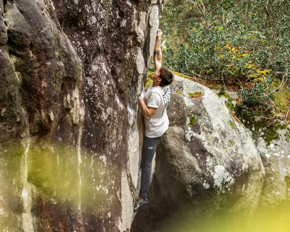 Fontainebleau sans voiture : où grimper en train + à pied ou à vélo ?