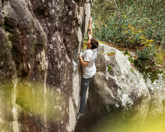 Fontainebleau sans voiture : où grimper en train + à pied ou à vélo ?