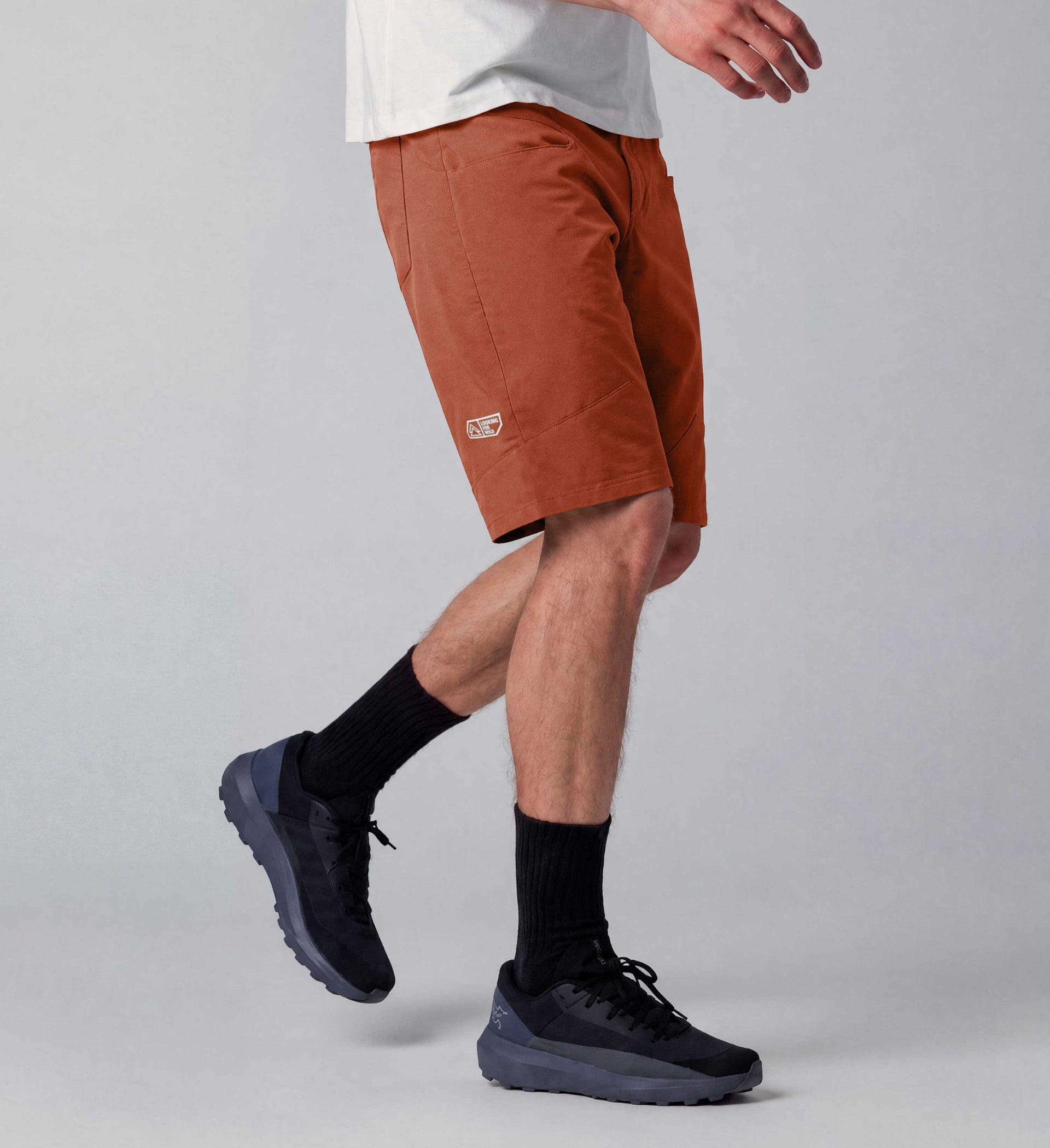 Short Annot - Rust