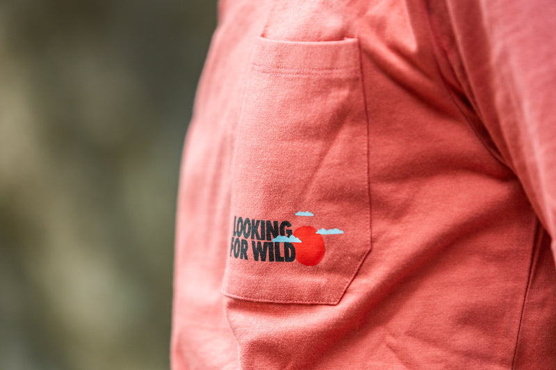 T-shirt Cinto Femme - Faded Rose