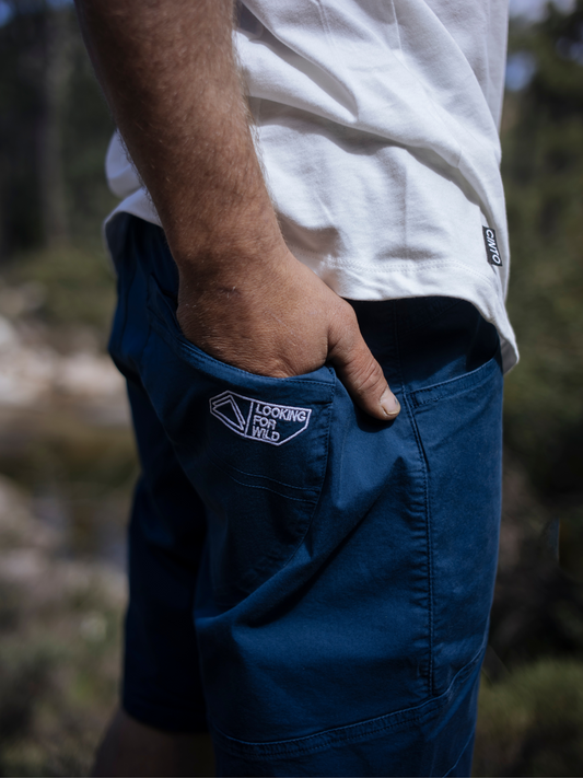 *Web-Exklusiv* Cilaos Technical Shorts - Surf The Web