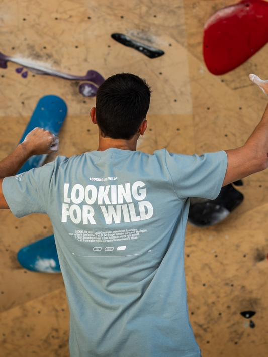 T-shirt unisexe Olwen - Lead